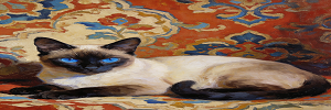 暹罗猫标题 (2).png