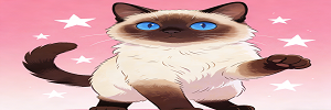 暹罗猫标题 (1).png