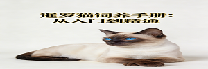 暹罗猫标题.png